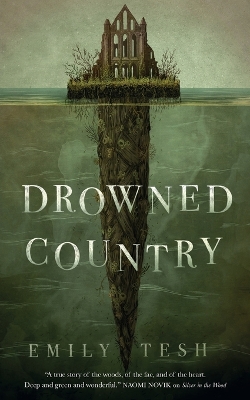 Drowned Country book