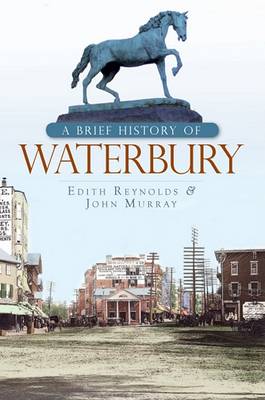 Brief History of Waterbury book