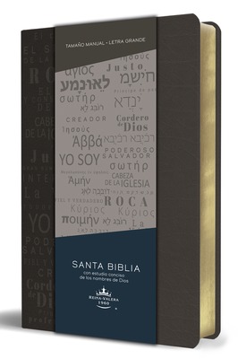 Biblia RVR 1960 letra grande tamaño manual, simil piel gris con nombres de Dios / Spanish Bible RVR 1960 Handy Size Large Print Leathersoft Grey, Names of god book