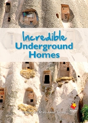 Incredible Underground Homes book