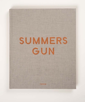 Daniel Hesidence - Summers Gun book