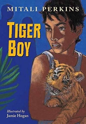 Tiger Boy book