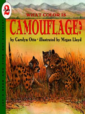 What Colour is Camouflage? book