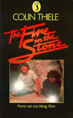 The Fire in the Stone book