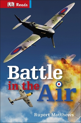 Battle in the Air book