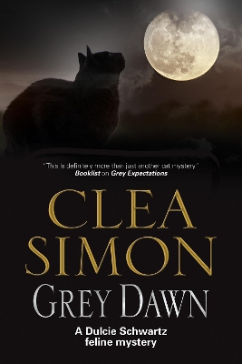 Grey Dawn book