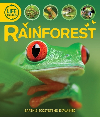 Life Cycles: Rainforest book