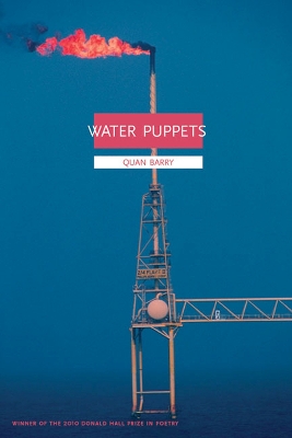 Water Puppets book