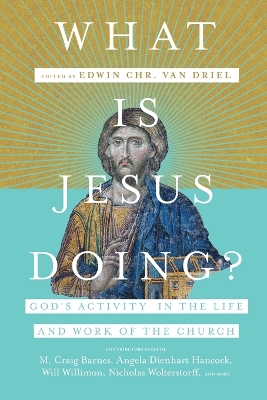 What Is Jesus Doing? – God`s Activity in the Life and Work of the Church book