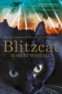 Blitzcat book