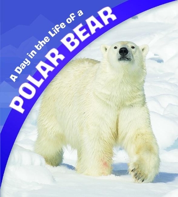 A Day in the Life of a Polar Bear book