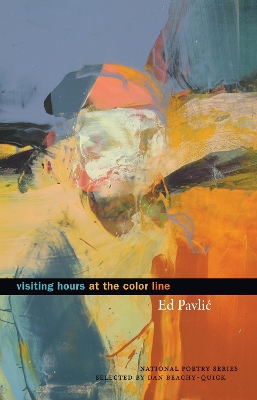 Visiting Hours at the Color Line book