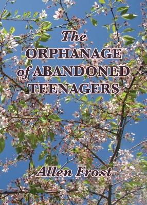 Orphanage of Abandoned Teenagers book