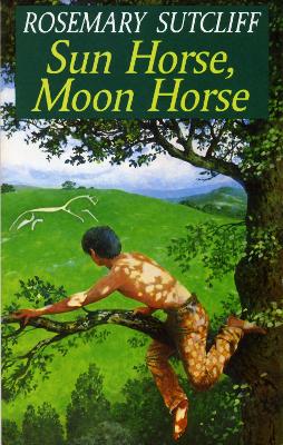 Sun Horse, Moon Horse book