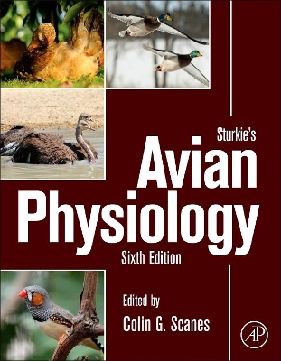 Sturkie's Avian Physiology by Colin G. Scanes