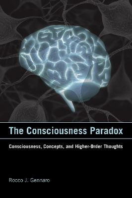 Consciousness Paradox book