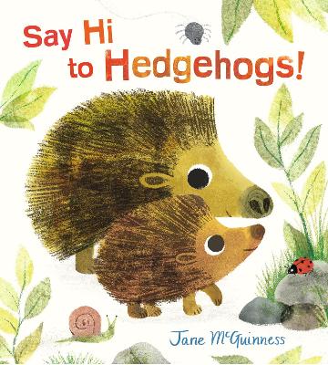 Say Hi to Hedgehogs! book