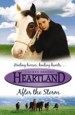 Heartland: #2 After the Storm book