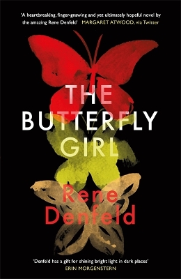The Butterfly Girl book