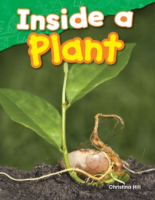 Inside a Plant book