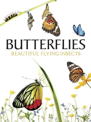 Butterflies: Beautiful Flying Insects book