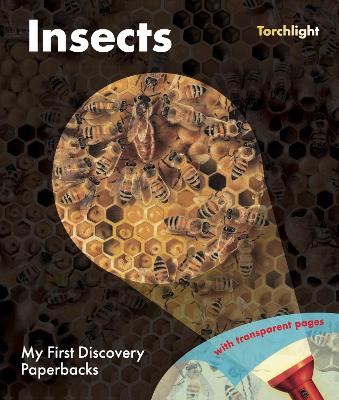 Insects book