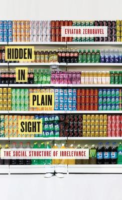 Hidden in Plain Sight book