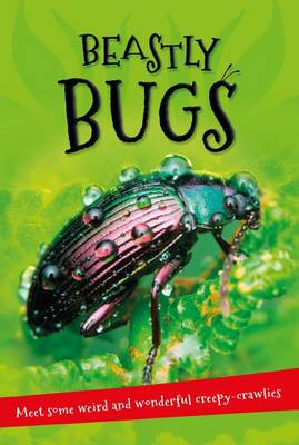 It's All About... Beastly Bugs by Kingfisher