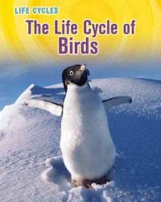 Life Cycle of Birds book