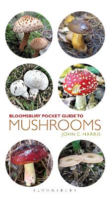 Pocket Guide to Mushrooms book