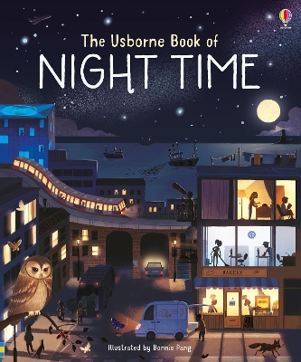 Big Picture Book of Night Time book