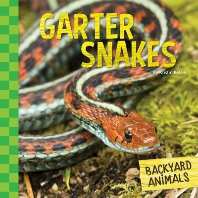 Garter Snakes by Kristin Petrie