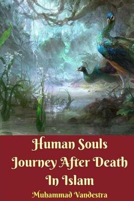 Human Souls Journey After Death in Islam book