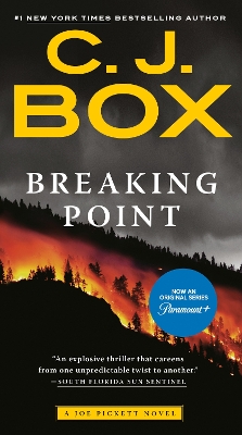 Breaking Point book