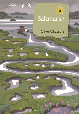 Saltmarsh by Mr Clive Chatters
