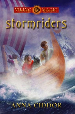 Stormriders book