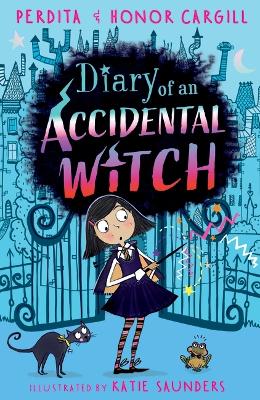 Diary of an Accidental Witch book