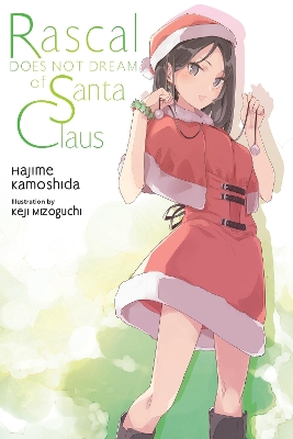 Rascal Does Not Dream of Santa Claus (light novel) book