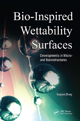 Bio-Inspired Wettability Surfaces book