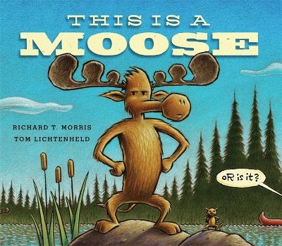 This is a Moose book