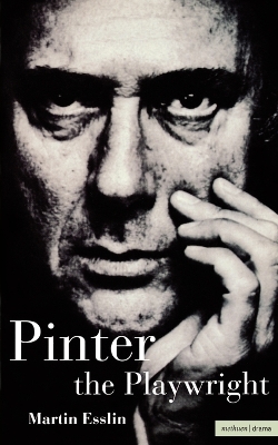 Pinter the Playwright book