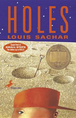 Holes book