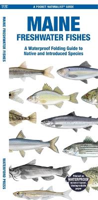 Maine Freshwater Fishes: A Waterproof Folding Guide to Native and Introduced Species book