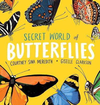 Secret World of Butterflies book