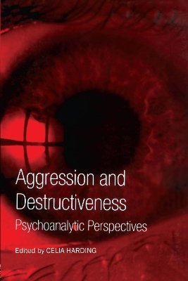 Aggression and Destructiveness: Psychoanalytic Perspectives book