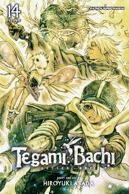 Tegami Bachi, Vol. 14 book