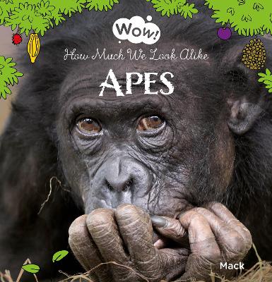 Wow! Apes. How Much We Look Alike book