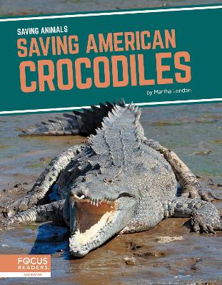 Saving Animals: Saving American Crocodiles by Martha London