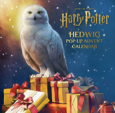 Harry Potter: Hedwig Pop-Up Advent Calendar by Matthew Reinhart