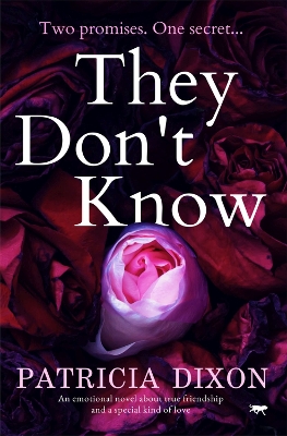 They Don't Know book